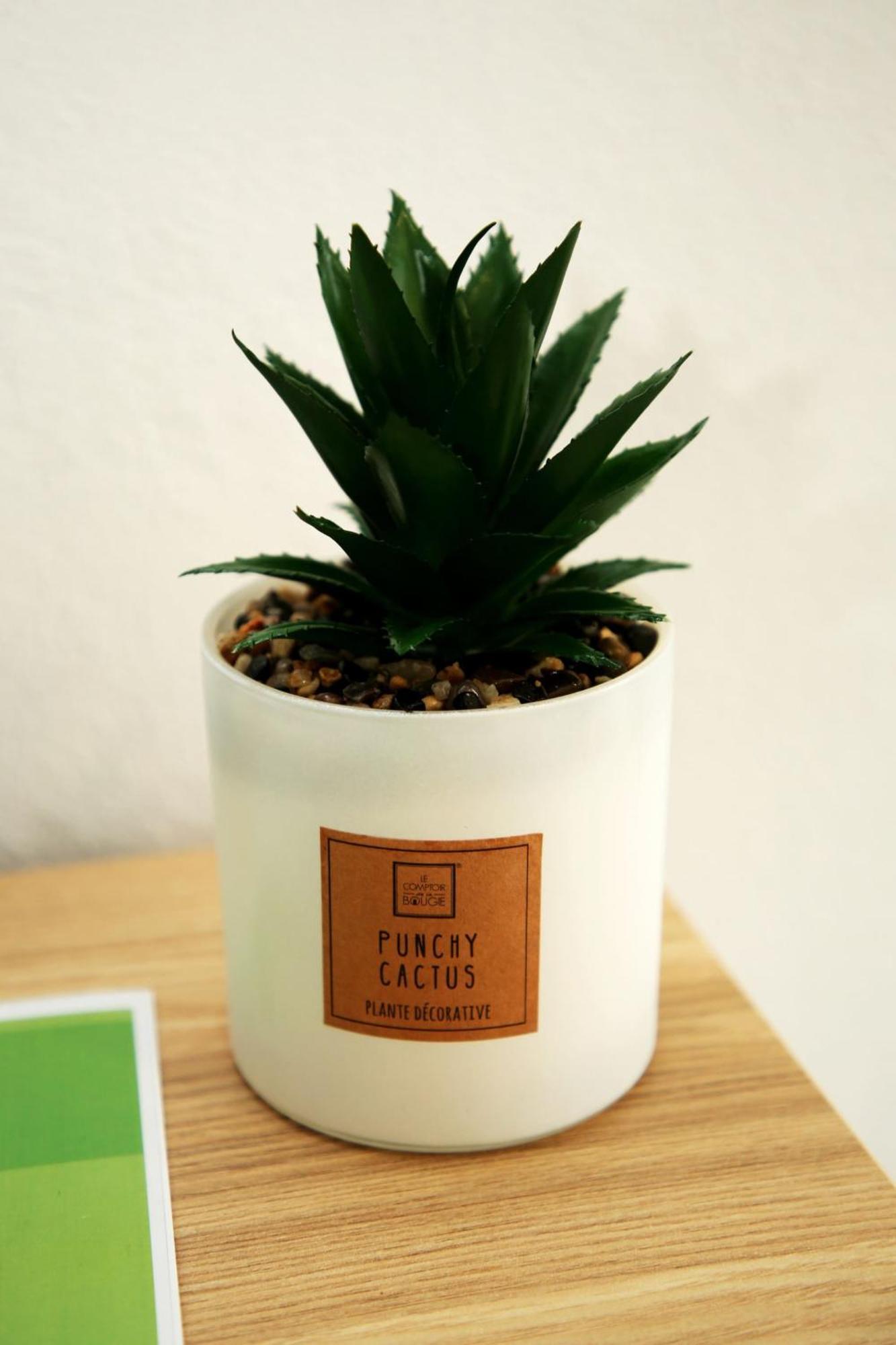 Mae De Deus Appartement