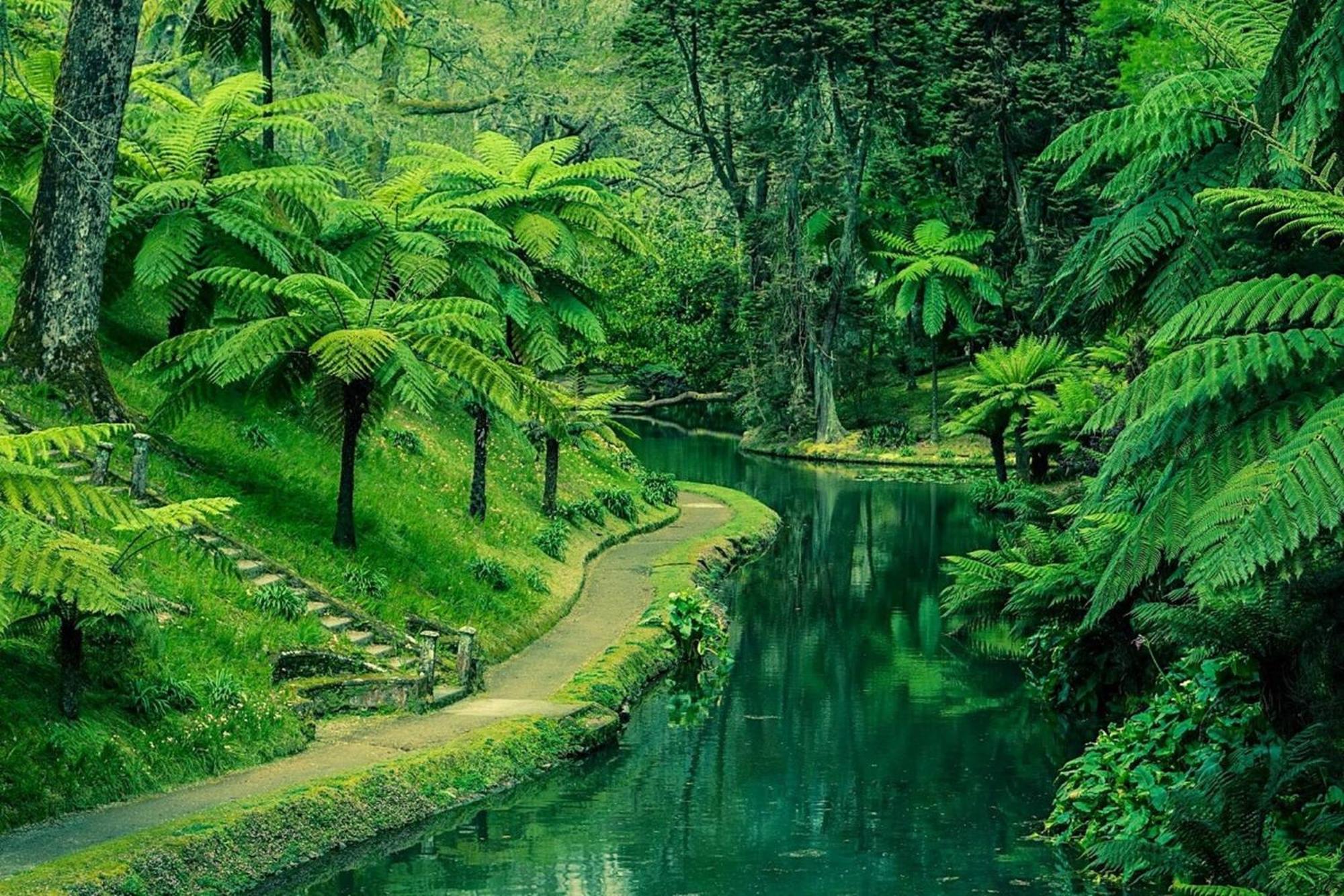 Mae De Deus Ponta Delgada (Sao Miguel)